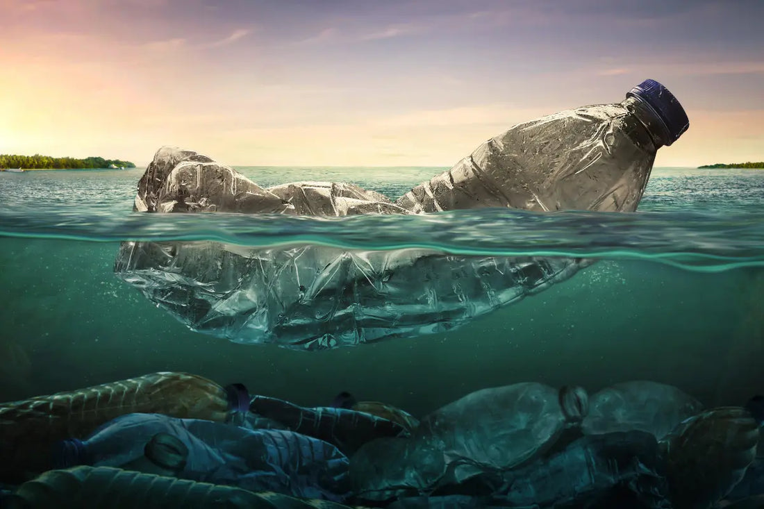 Ways to Reduce Plastic in Your Daily Life