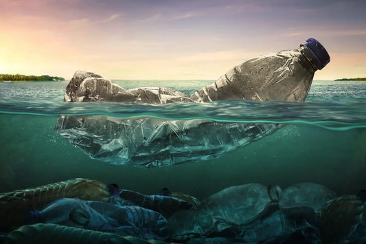 Ways to Reduce Plastic in Your Daily Life